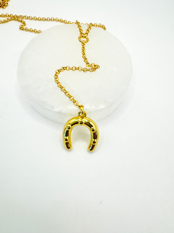 Lucky Horseshoe Lariat Necklace