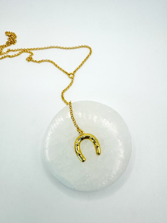 Lucky Horseshoe Lariat Necklace